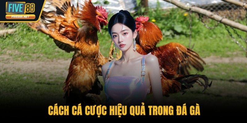 Cách cá cược hiệu quả trong đá gà