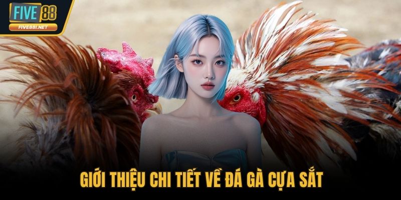 Giới thiệu chi tiết về đá gà cựa sắt