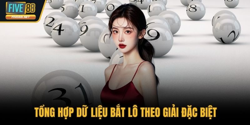 Tổng hợp dữ liệu bắt lô theo giải đặc biệt